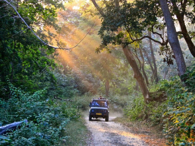Dhela Forest Rest House